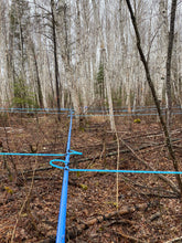 Load image into Gallery viewer, GOBS Birch Syrup 125ML