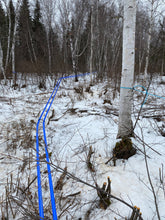 Load image into Gallery viewer, GOBS Birch Syrup 125ML