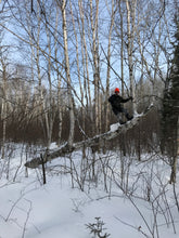 Load image into Gallery viewer, GOBS Birch Syrup 125ML