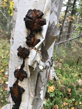 Load image into Gallery viewer, GOBS Birch Syrup 125ML